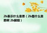 2b表示什么意思（2b是什么意思啊 2b解釋）