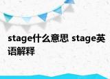 stage什么意思 stage英語(yǔ)解釋