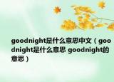 goodnight是什么意思中文（goodnight是什么意思 goodnight的意思）