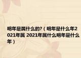 明年是屬什么的?（明年是什么年2021年屬 2021年屬什么明年是什么年）