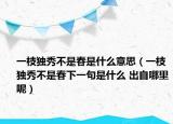 一枝獨(dú)秀不是春是什么意思（一枝獨(dú)秀不是春下一句是什么 出自哪里呢）