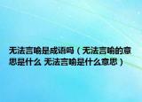 無法言喻是成語嗎（無法言喻的意思是什么 無法言喻是什么意思）