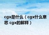 cgx是什么（cgx什么意思 cgx的解釋）