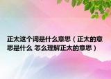 正太這個詞是什么意思（正太的意思是什么 怎么理解正太的意思）