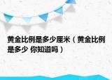 黃金比例是多少厘米（黃金比例是多少 你知道嗎）