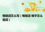 梧組詞怎么寫（梧組詞 梧字怎么組詞）