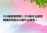 213是啥意思?。?13是什么意思 網(wǎng)絡(luò)語(yǔ)言的213是什么意思）