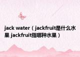 jack water（jackfruit是什么水果 jackfruit指哪種水果）