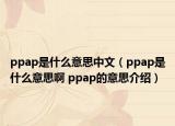 ppap是什么意思中文（ppap是什么意思啊 ppap的意思介紹）