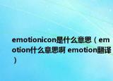 emotionicon是什么意思（emotion什么意思啊 emotion翻譯）