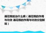 通花根能治什么?。ㄍɑǜ淖饔门c功效 通花根的作用與功效分別解說）