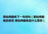 草枯鷹眼疾下一句詩句（草枯鷹眼疾的意思 草枯鷹眼疾是什么意思）