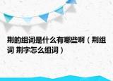 荊的組詞是什么有哪些?。ㄇG組詞 荊字怎么組詞）