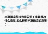 半夏微涼科技有限公司（半夏微涼什么意思 怎么理解半夏微涼的意思）