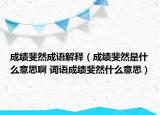 成績斐然成語解釋（成績斐然是什么意思啊 詞語成績斐然什么意思）