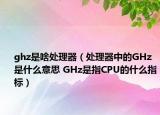 ghz是啥處理器（處理器中的GHz是什么意思 GHz是指CPU的什么指標(biāo)）