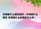 急得像什么填空詞語（急得像什么填空 急得像什么的填空怎么寫）