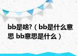 bb是啥?（bb是什么意思 bb意思是什么）