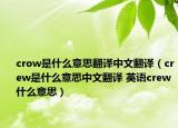 crow是什么意思翻譯中文翻譯（crew是什么意思中文翻譯 英語(yǔ)crew什么意思）