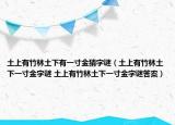 土上有竹林土下有一寸金猜字謎（土上有竹林土下一寸金字謎 土上有竹林土下一寸金字謎答案）