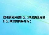 政法委到底是什么（政法委全稱是什么 政法委員會(huì)介紹）