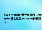 little monster是什么意思（monster什么意思 monster的解釋）