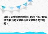 執(zhí)跨子弟中的紈绔是指（執(zhí)跨子弟還是紈绔子弟 執(zhí)跨子弟和紈绔子弟哪個是對的呢）