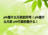 pb是什么元素的符號（pb是什么元素 pb代表的是什么）