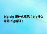 big big 是什么意思（big什么意思 big解釋）