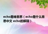 echo是啥意思（echo是什么意思中文 echo的解釋）