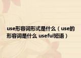 use形容詞形式是什么（use的形容詞是什么 useful短語）