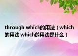 through which的用法（which的用法 which的用法是什么）