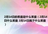 2月14日的星座是什么星座（2月14日什么星座 2月14日屬于什么星座）