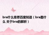 bra什么意思百度知道（bra是什么 關(guān)于bra的解析）