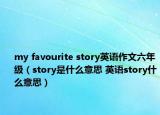 my favourite story英語作文六年級（story是什么意思 英語story什么意思）