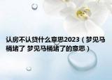 認(rèn)房不認(rèn)貸什么意思2023（夢見馬桶堵了 夢見馬桶堵了的意思）