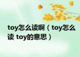 toy怎么讀?。╰oy怎么讀 toy的意思）