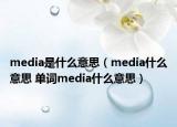 media是什么意思（media什么意思 單詞media什么意思）