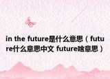 in the future是什么意思（future什么意思中文 future啥意思）