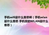 手機(jī)wifi是什么意思?。ㄊ謾C(jī)wlan是什么意思 手機(jī)里的WLAN是什么意思）