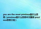 you are the most precious是什么意思（precious是什么意思中文翻譯 precious意思介紹）