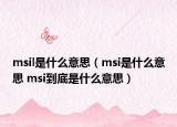 msil是什么意思（msi是什么意思 msi到底是什么意思）