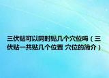 三伏貼可以同時(shí)貼幾個(gè)穴位嗎（三伏貼一共貼幾個(gè)位置 穴位的簡(jiǎn)介）