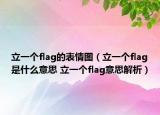 立一個flag的表情圖（立一個flag是什么意思 立一個flag意思解析）