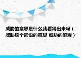 威脅的意思是什么我看得出來嗎（威脅這個詞語的意思 威脅的解釋）