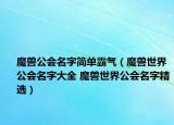 魔獸公會(huì)名字簡(jiǎn)單霸氣（魔獸世界公會(huì)名字大全 魔獸世界公會(huì)名字精選）