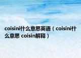 coisini什么意思英語（coisini什么意思 coisin解釋）