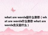 what are words是什么意思（what are words什么意思 what are words含義是什么）