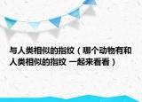 與人類相似的指紋（哪個(gè)動(dòng)物有和人類相似的指紋 一起來看看）