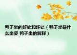 鴨子坐的好處和壞處（鴨子坐是什么坐姿 鴨子坐的解釋）